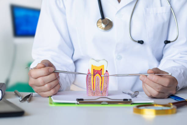 Best Emergency Dentist for Knocked-Out Tooth in Lakewood Park, FL